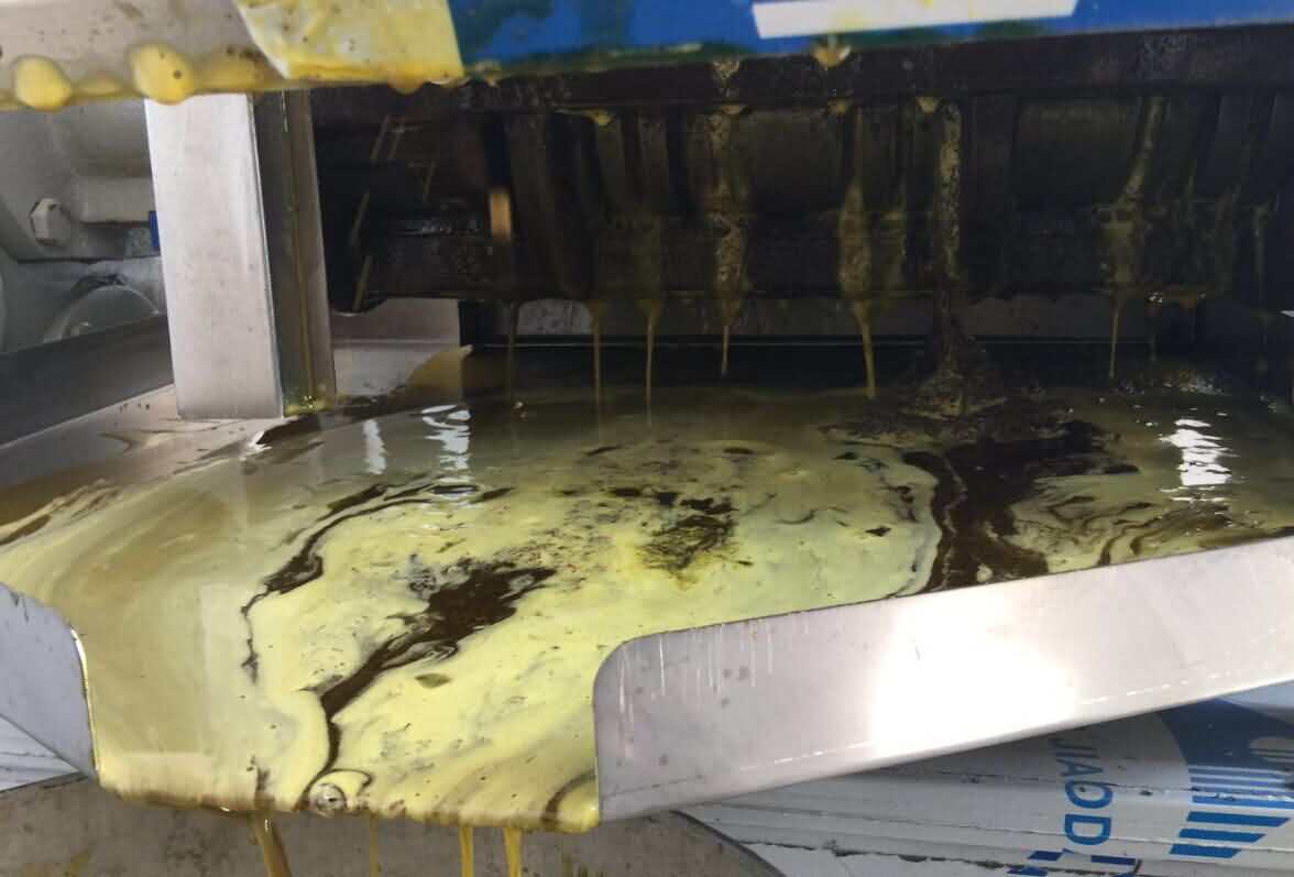 榨油机榨花生油、菜籽油过程