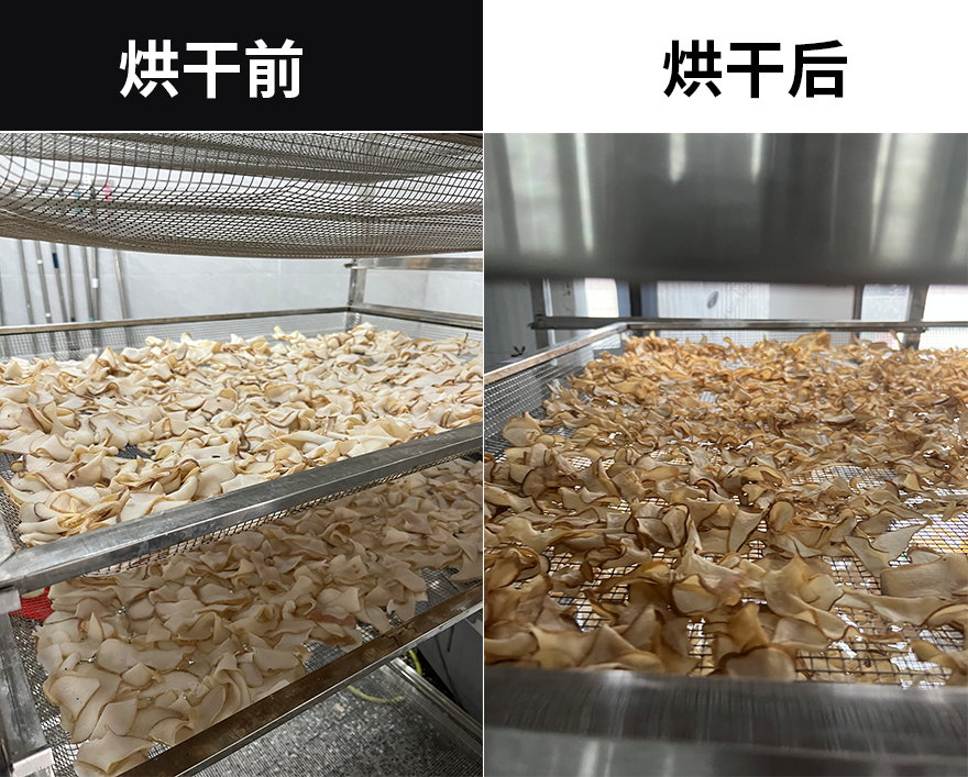 新闻配图.png