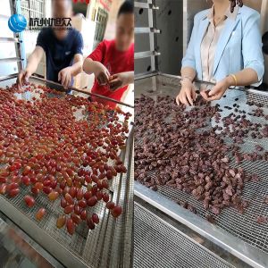 葡萄烘干房助力果干加工，稳定出品提升产能